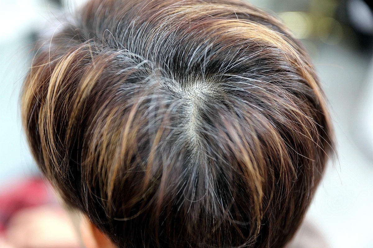 20251109-y9jce 20251109-y9jce