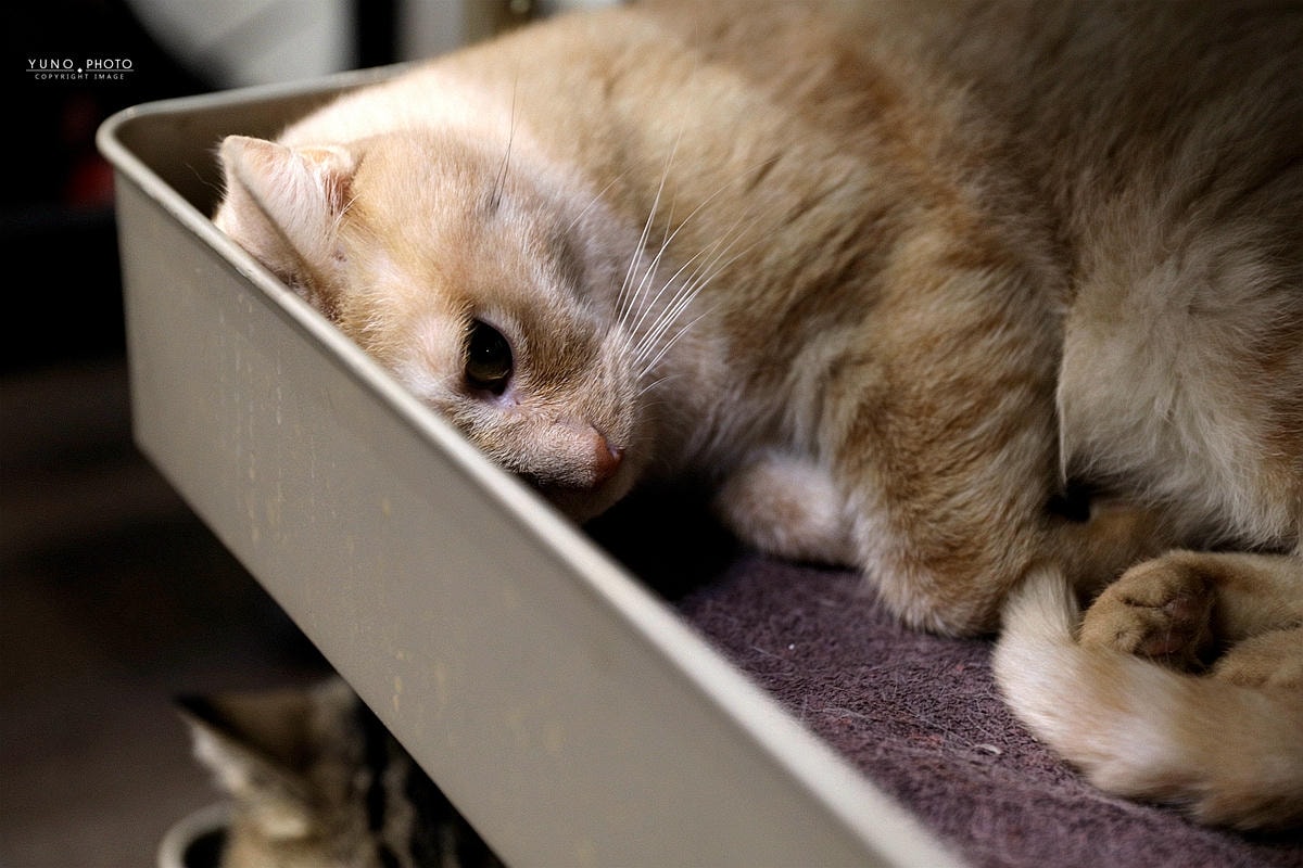 20251109-gi2yx 20251109-gi2yx