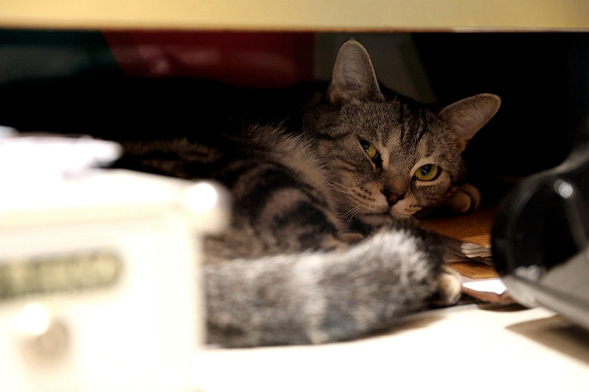 20251109-wp4jm 20251109-wp4jm