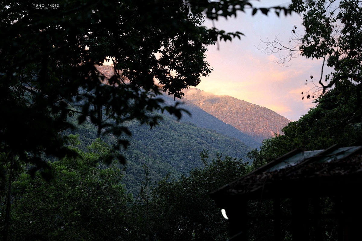 20251109-4pyv1 20251109-4pyv1