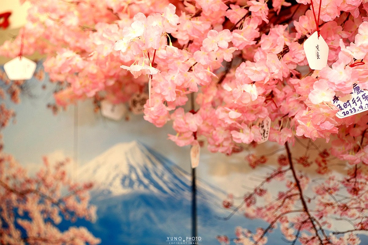 20251109-t6oky 20251109-t6oky