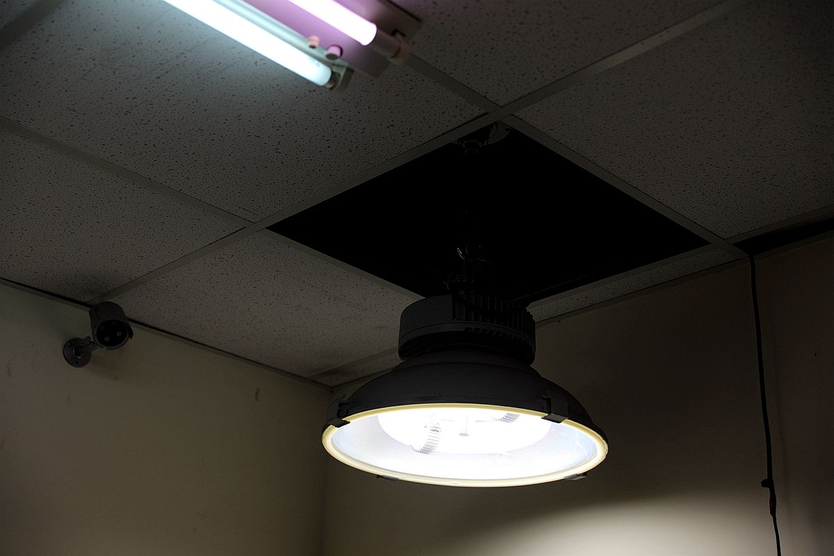 20251109-2769m 20251109-2769m