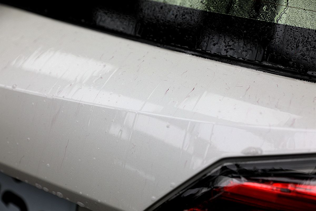 20251109-3330c 20251109-3330c