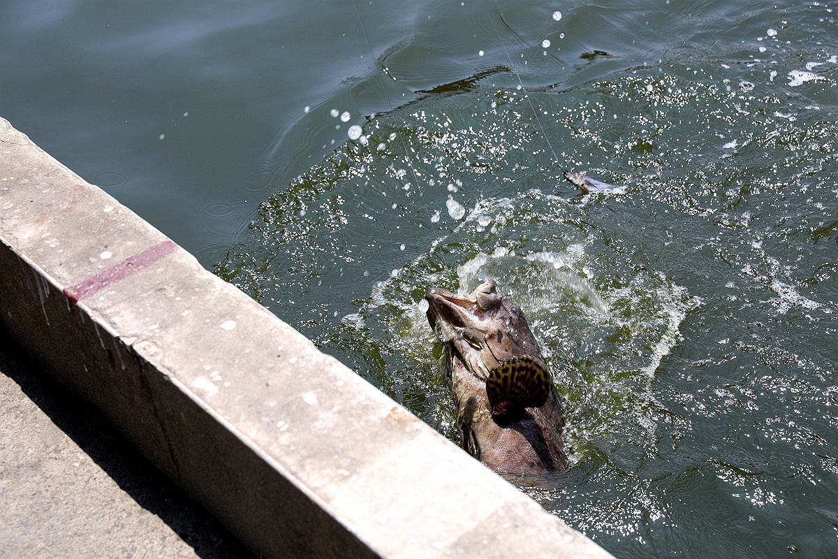 20251109-0ym4v 20251109-0ym4v