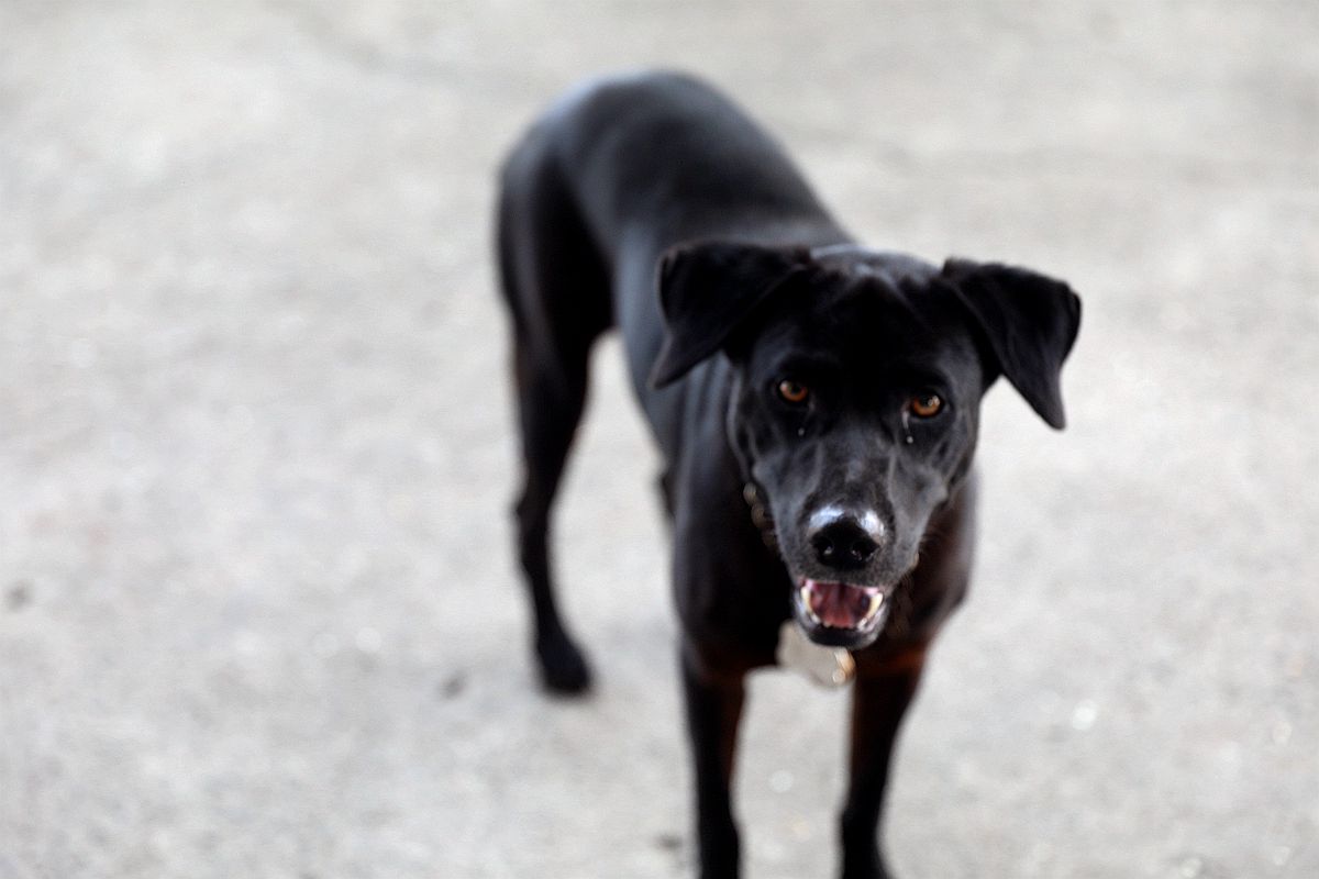 20251109-o03vd 20251109-o03vd