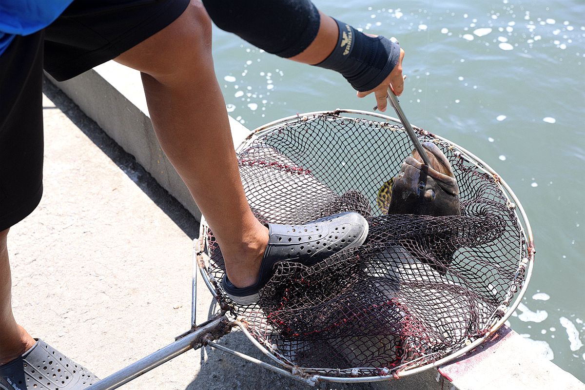 20251109-zejps 20251109-zejps