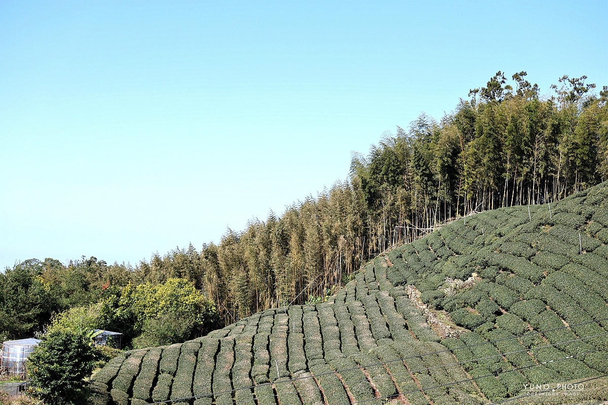 20251109-5c0wv 20251109-5c0wv