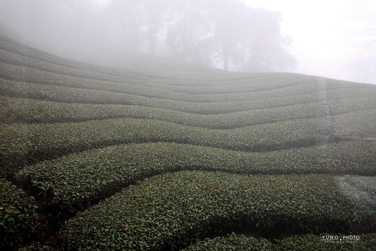 20251109-845og 20251109-845og