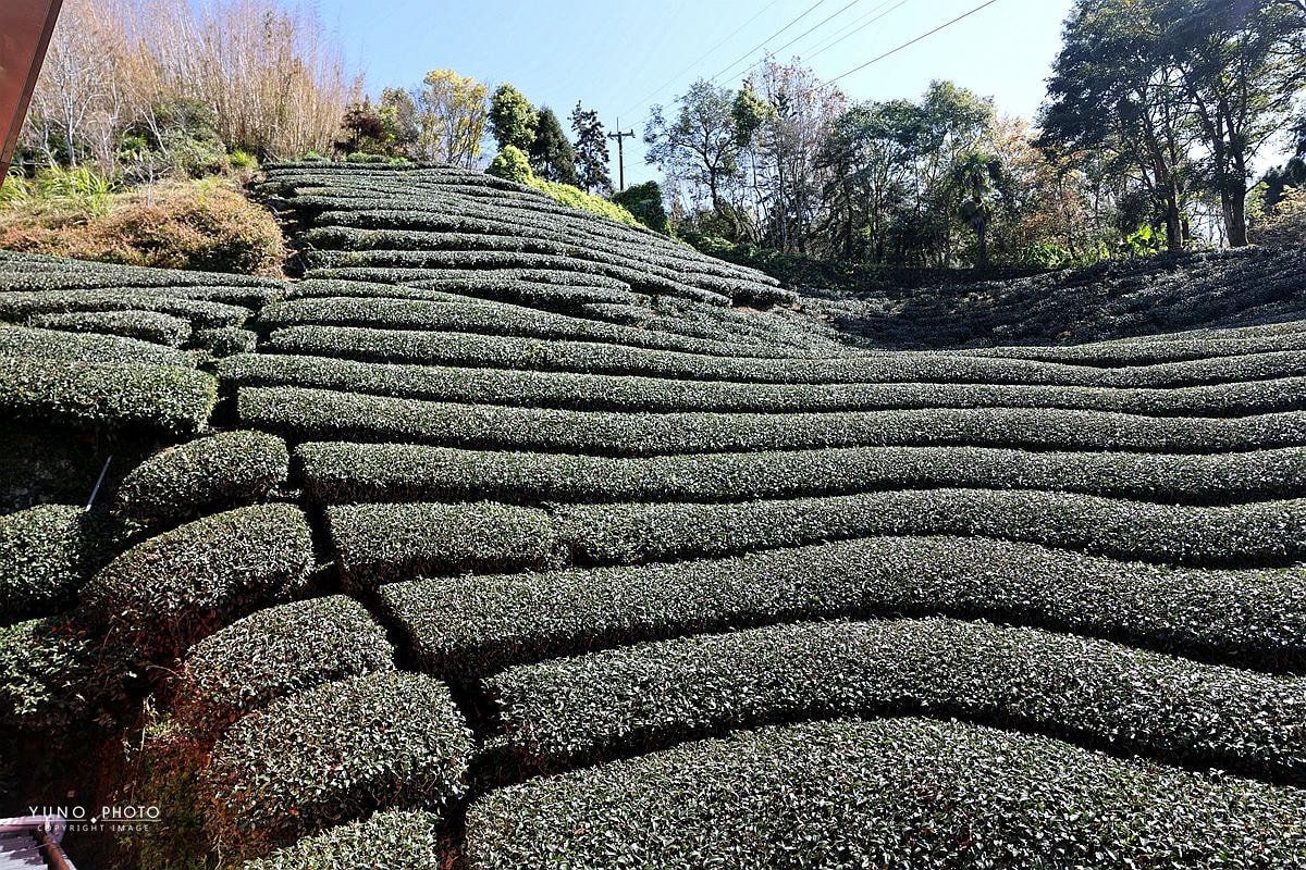 20251109-poa5d 20251109-poa5d