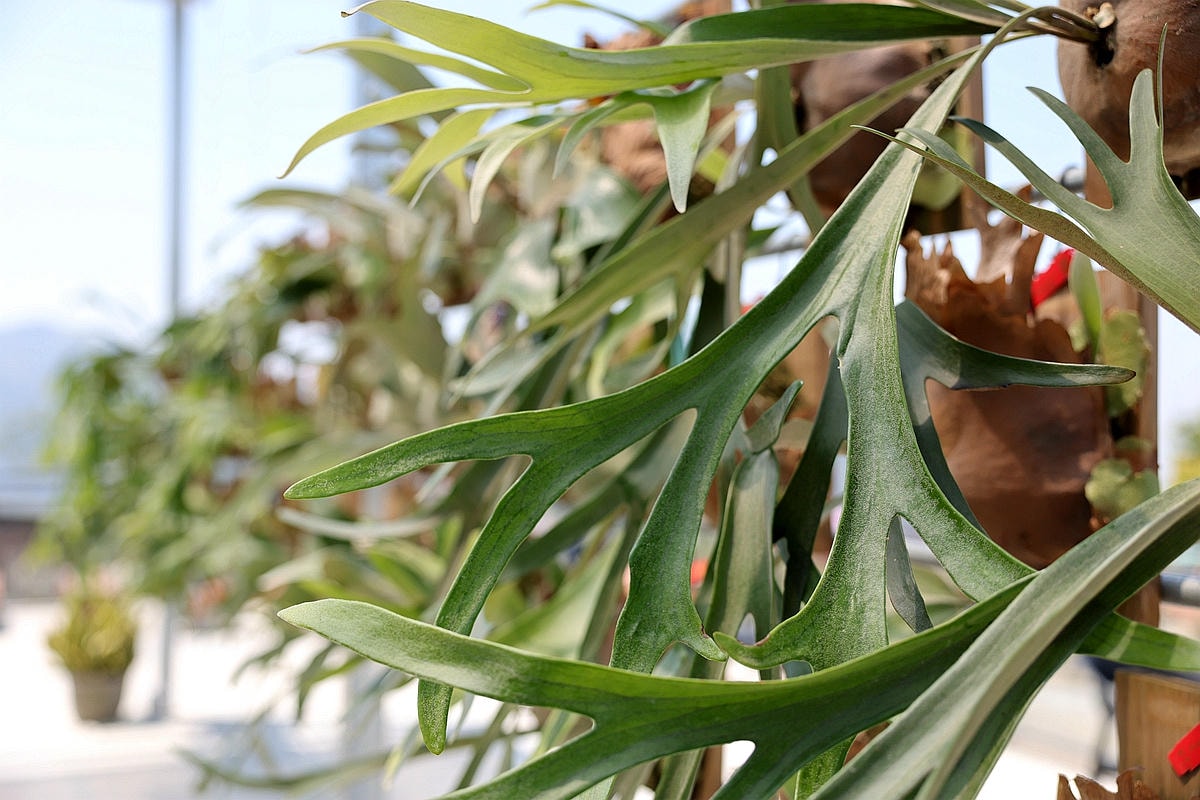 20251109-0elwo 20251109-0elwo