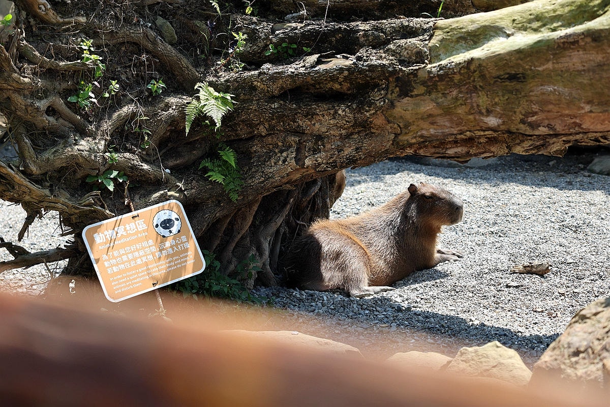 20251109-38m9t 20251109-38m9t