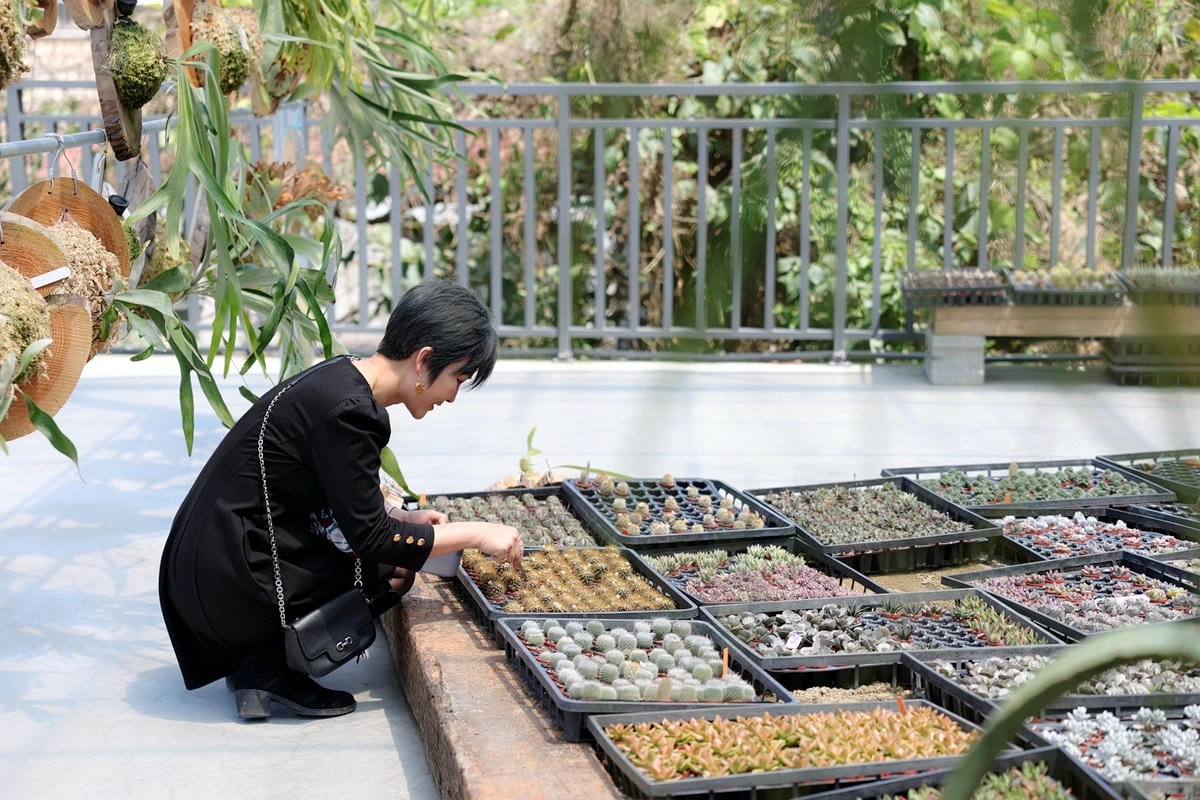 20251109-68jgm 20251109-68jgm