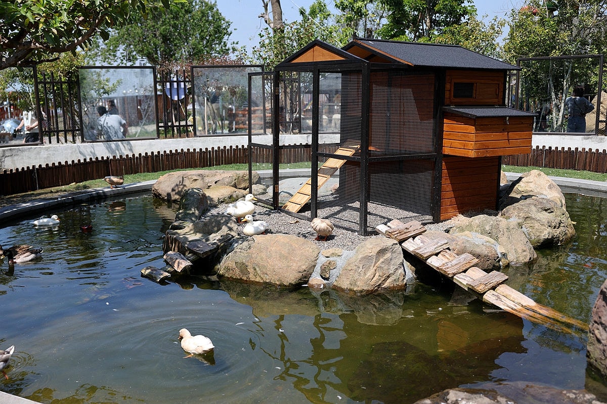 20251109-77mpr 20251109-77mpr