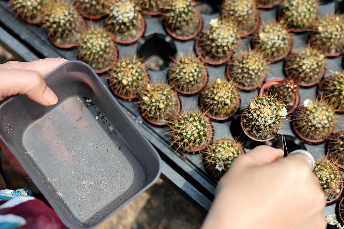 20251109-8x1bh 20251109-8x1bh