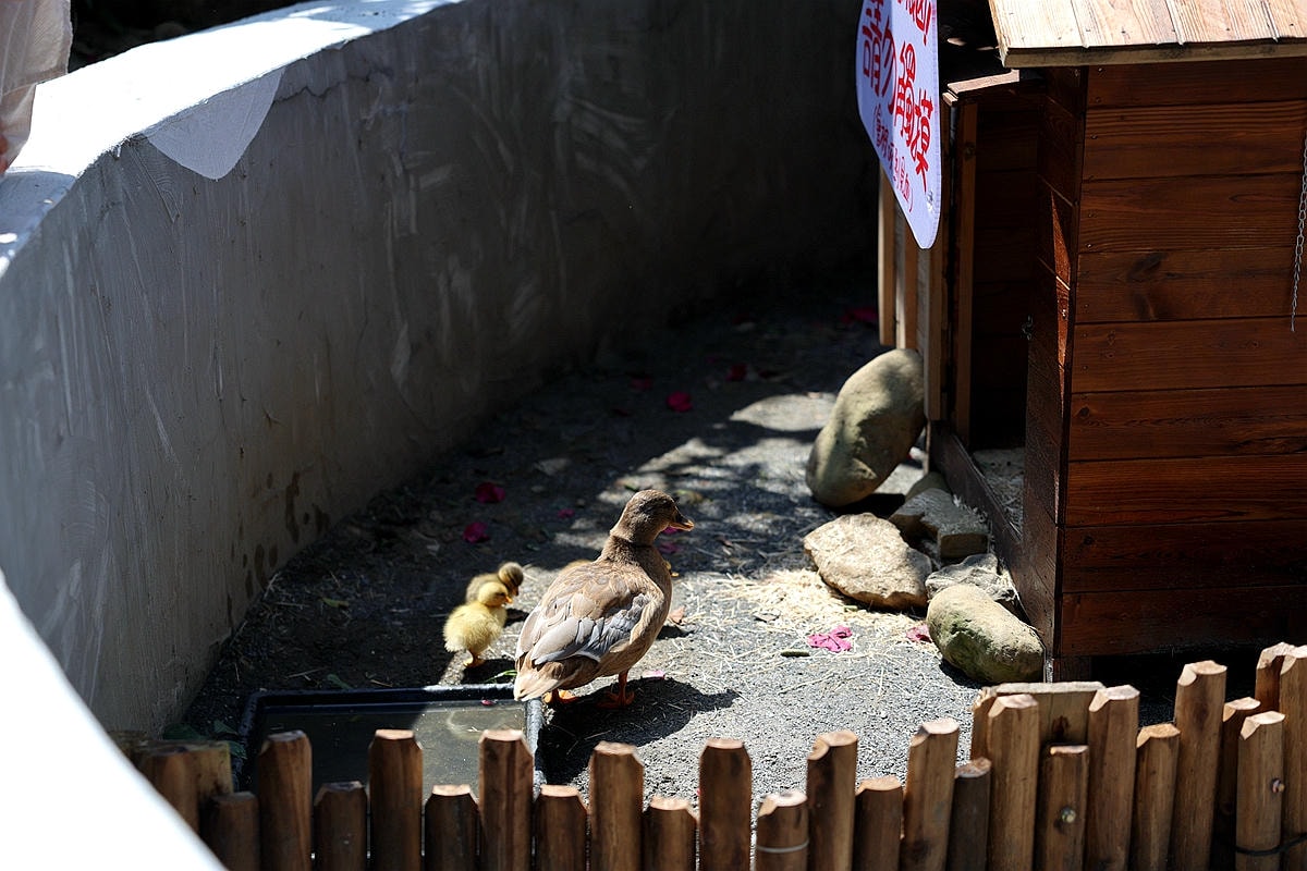 20251109-97yrz 20251109-97yrz