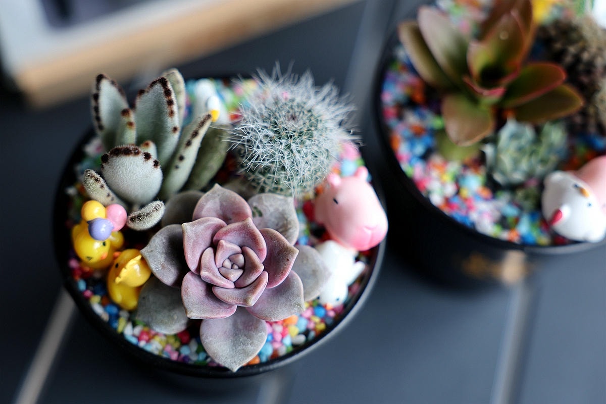 20251109-az4jm 20251109-az4jm