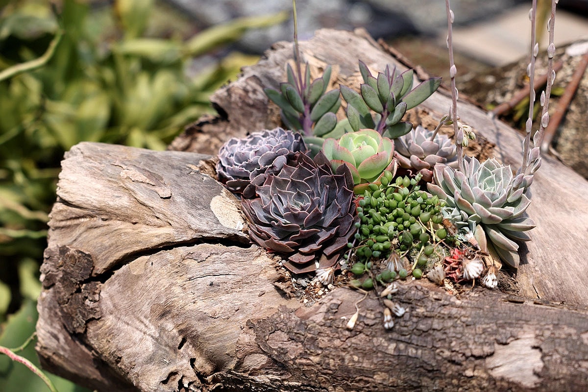 20251109-b0zgg 20251109-b0zgg