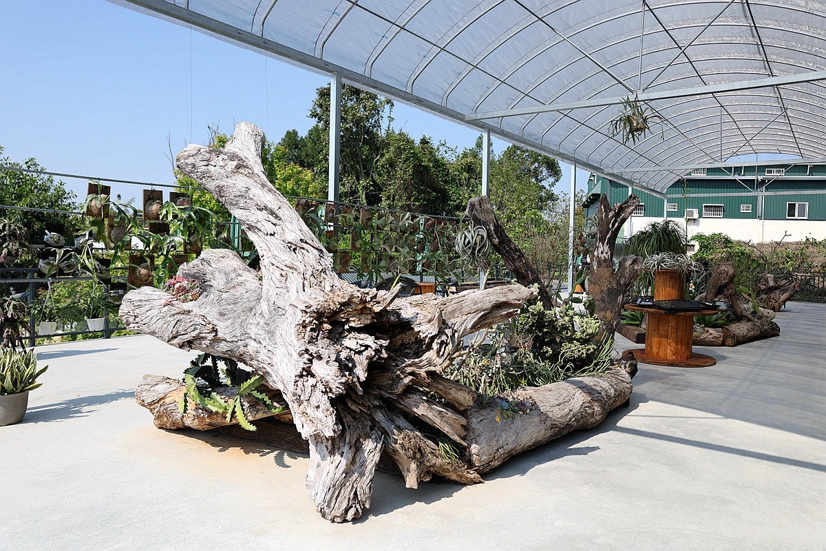 20251109-bvyhn 20251109-bvyhn