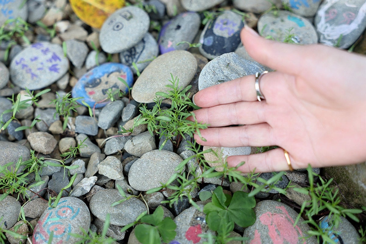 20251109-ebor6 20251109-ebor6