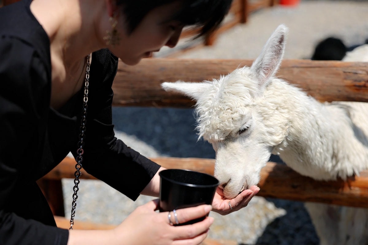 20251109-fdwvs 20251109-fdwvs