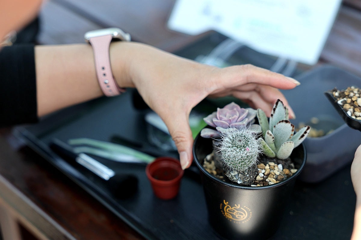 20251109-ffyhp 20251109-ffyhp