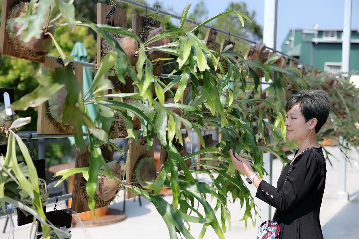 20251109-hqr77 20251109-hqr77