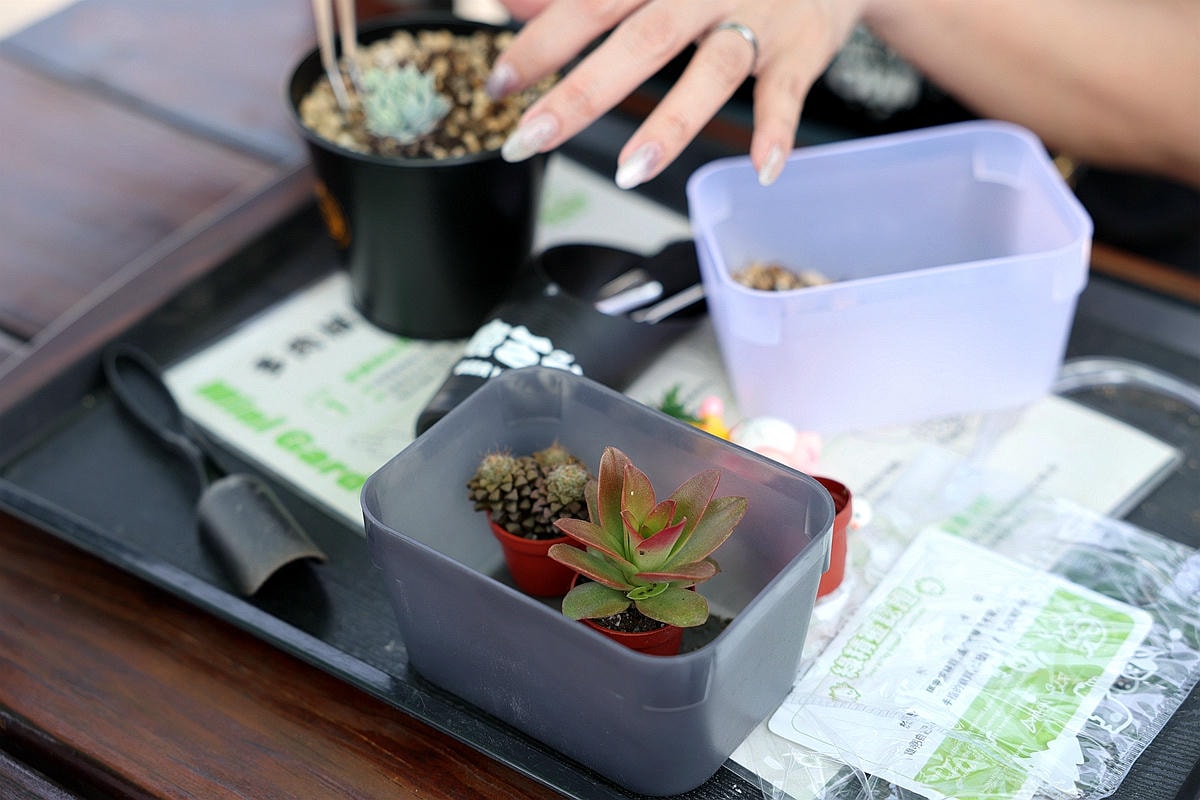 20251109-iqvlw 20251109-iqvlw