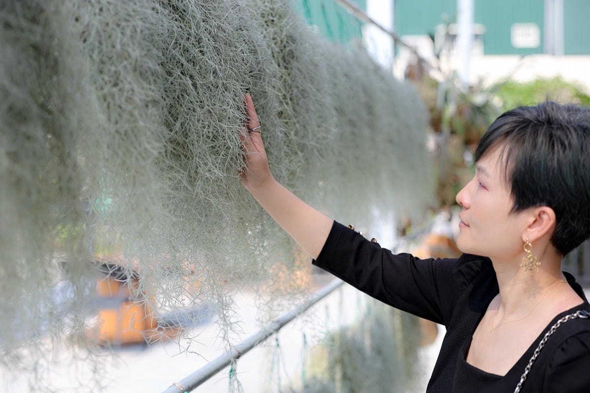 20251109-jp9jo 20251109-jp9jo