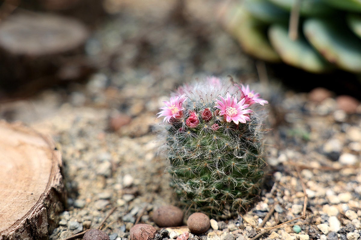 20251109-kdw33 20251109-kdw33