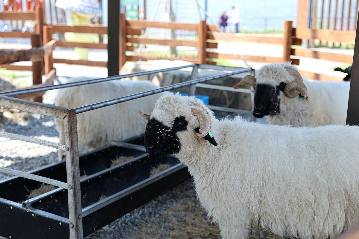 20251109-uf0cj 20251109-uf0cj