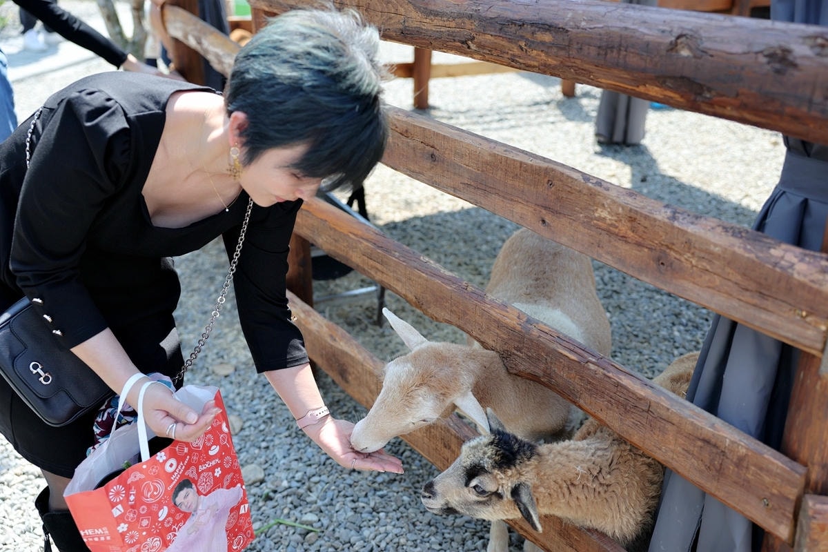 20251109-vn386 20251109-vn386