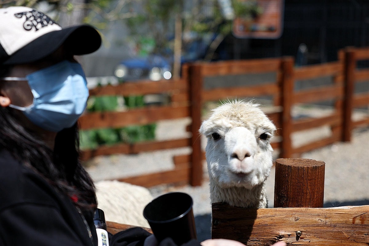 20251109-zlhpk 20251109-zlhpk