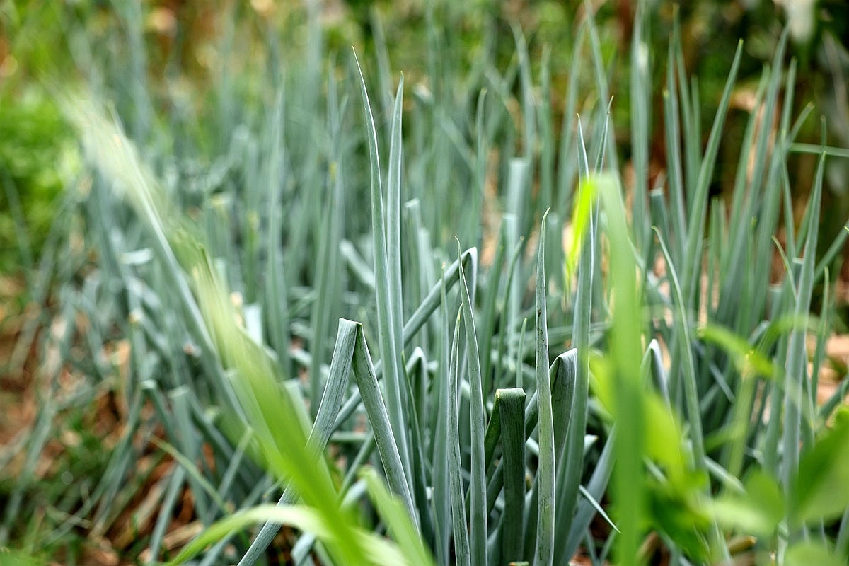 20251108-nm3oe 20251108-nm3oe