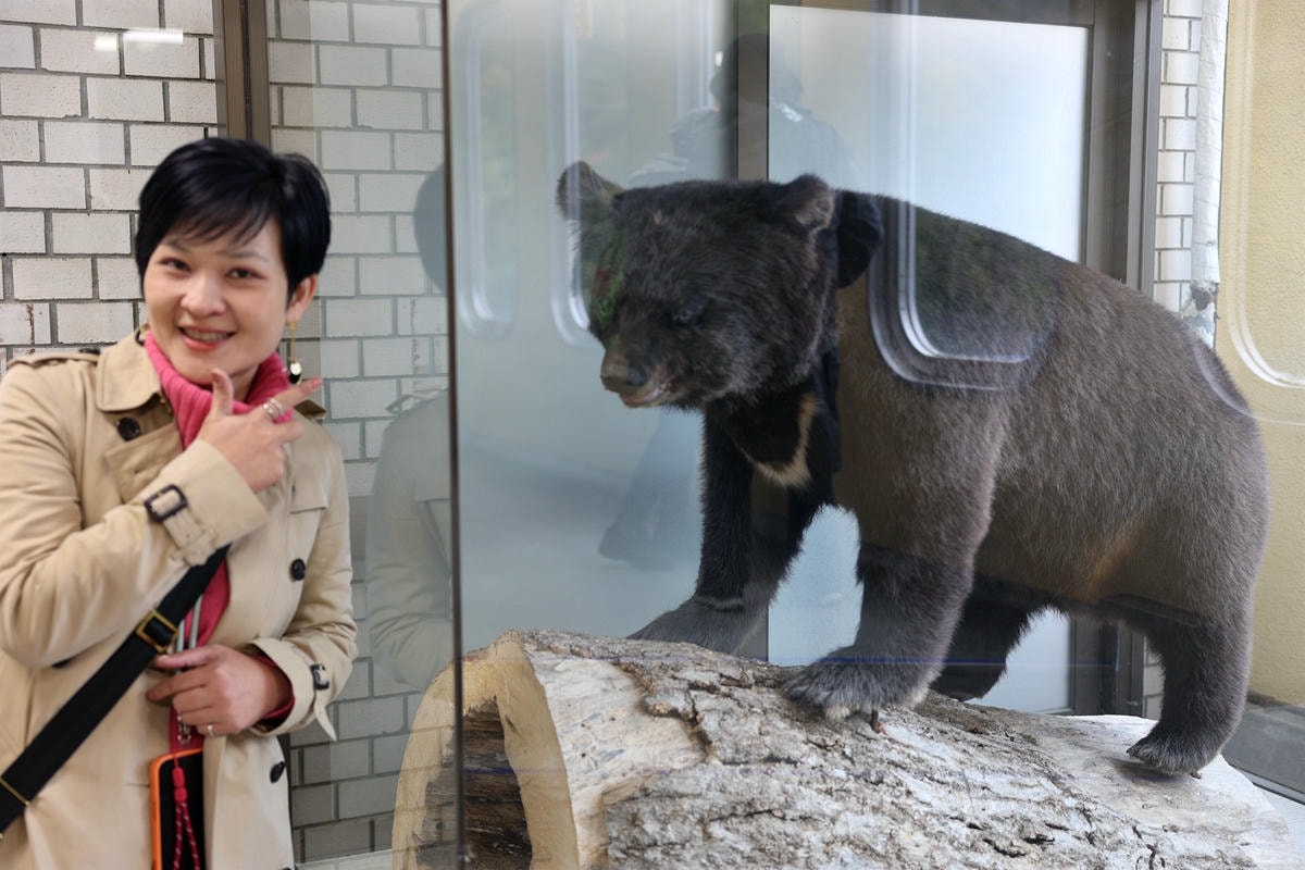 20251108-qnn31 20251108-qnn31