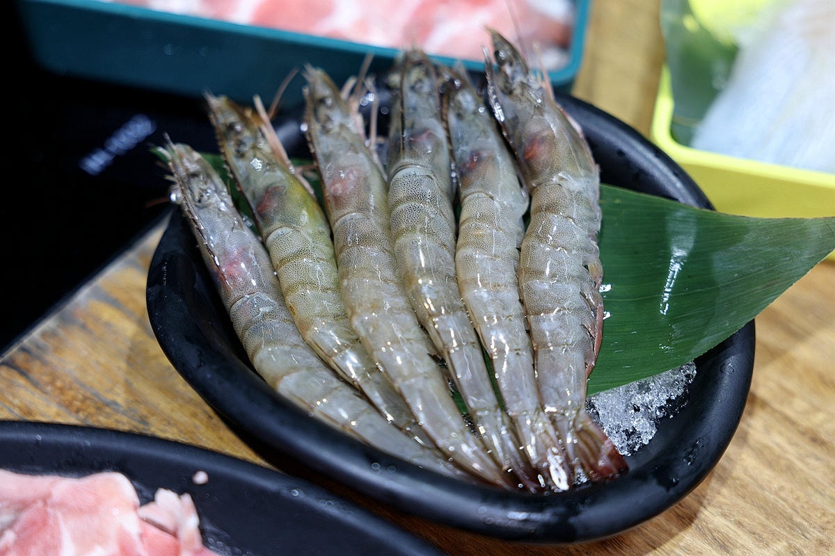 20251108-xgmw8 20251108-xgmw8