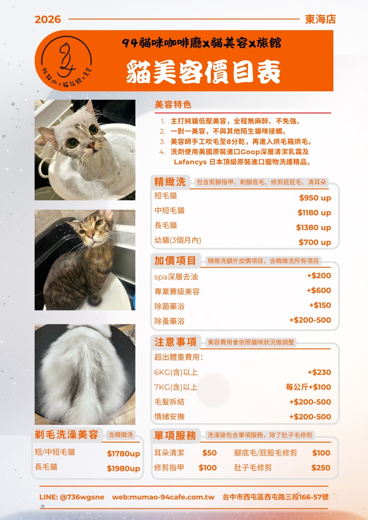 94貓咪咖啡廳-東海店｜台中貓奴行程這樣排 吃堡、跑咖、撸貓 貓咪主子住宿美容一次搞定