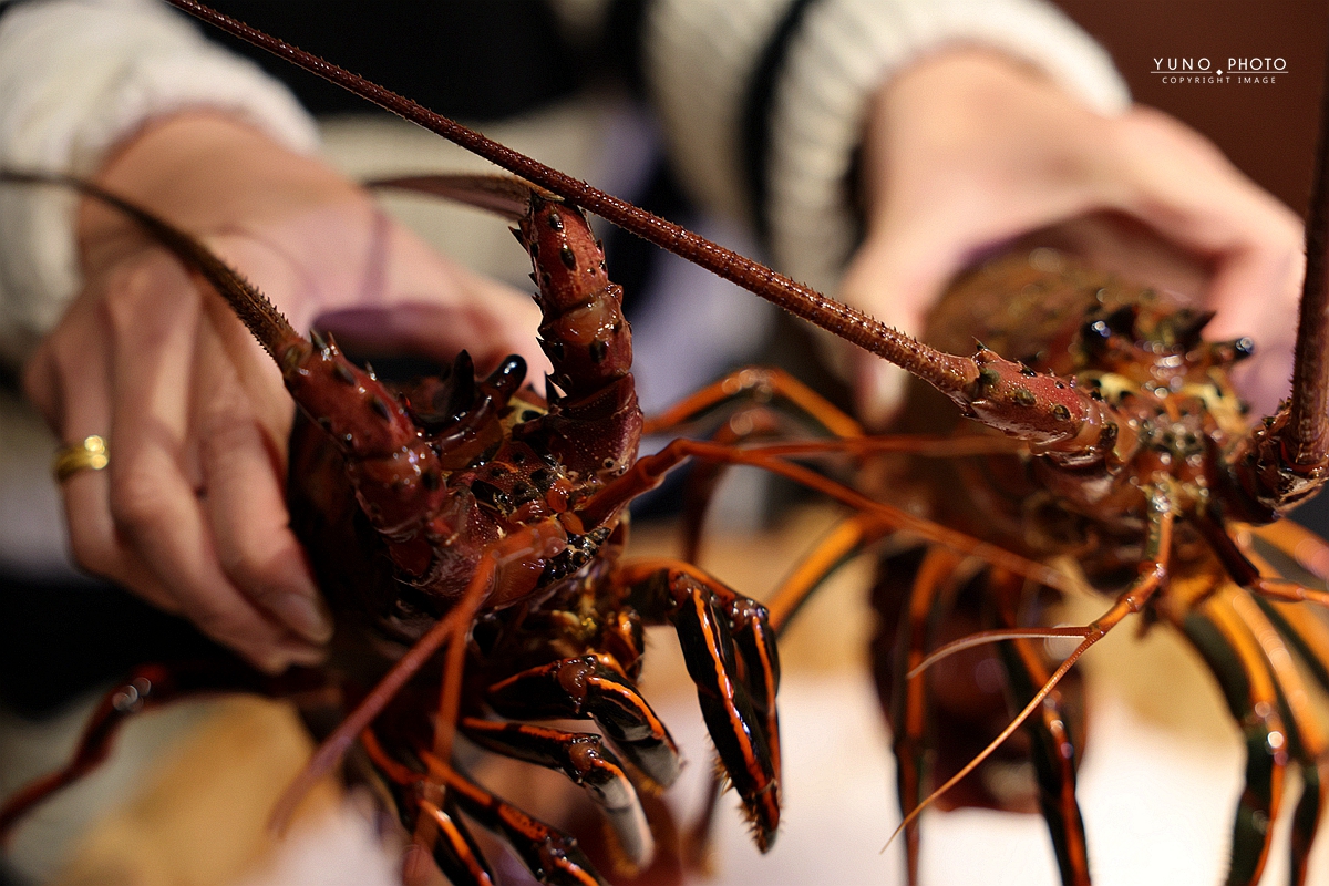 孫太太山海惠中行館|全台最貴!台中西屯吃到飽天花板 全台首創活體帝王蟹吃到飽 奢華龍蝦、A5和牛無限續點 - 第13張圖 孫太太山海惠中行館|全台最貴!台中西屯吃到飽天花板 全台首創活體帝王蟹吃到飽 奢華龍蝦、A5和牛無限續點
