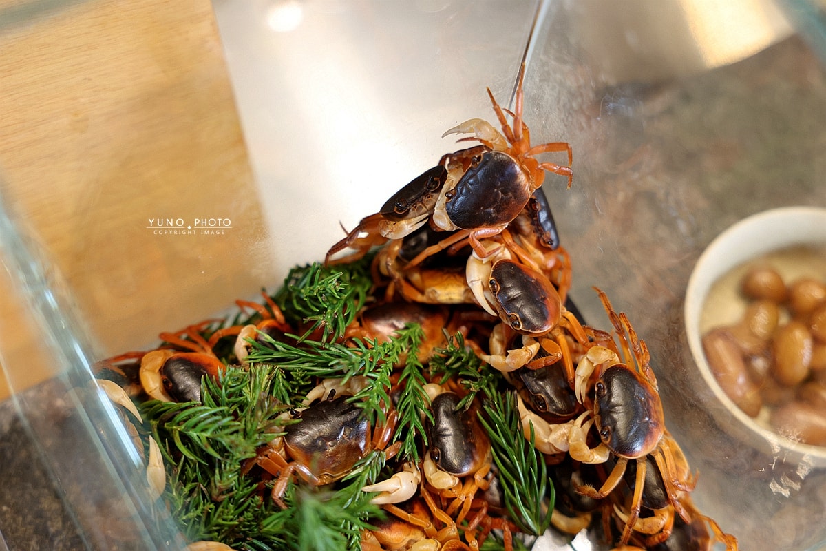 海浪壽司|台中北屯預約制板前Omakase推薦 握壽司+海鮮生食主軸 - 第53張圖 海浪壽司|台中北屯預約制板前Omakase推薦 握壽司+海鮮生食主軸