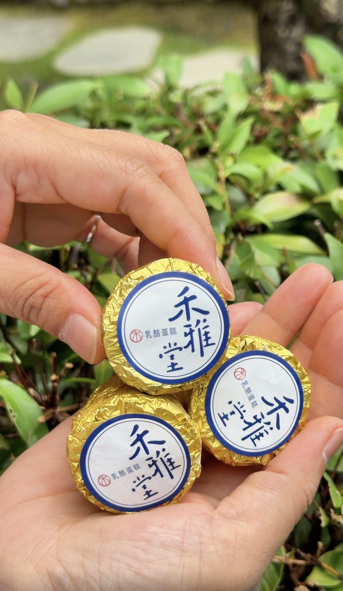 台中大坑最強隱藏伴手禮「禾雅堂經典乳酪蛋糕」像金莎一樣單顆拆、不沾手 冰淇淋般的濃郁口感 入口即化太幸福！中秋禮盒，可宅配
